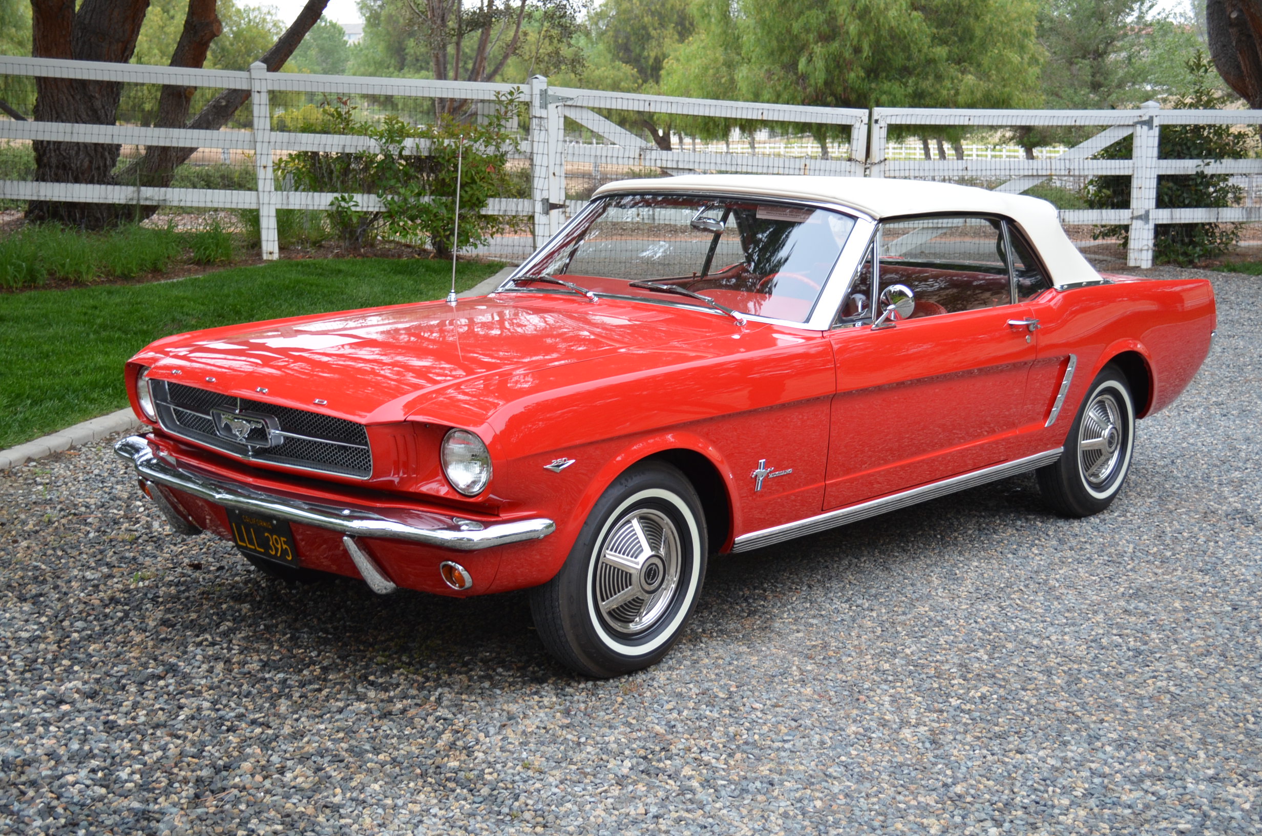 1964 1/2 Mustang Convertible, Gorgeous!! - Classic