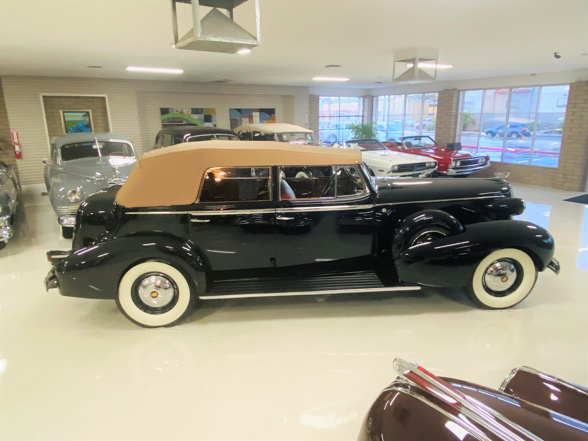 1937 Cadillac V12 Convertible Sedan with Division - Classic Promenade