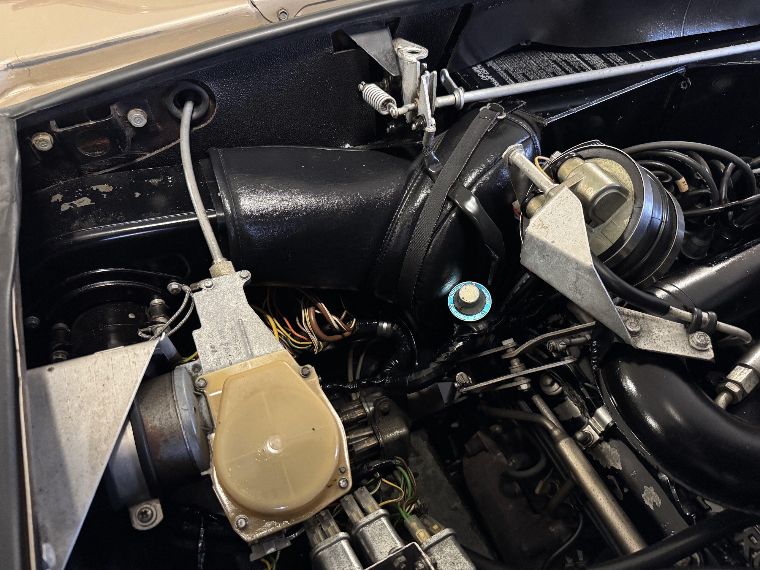 20251013 195856528 iOS 20251013 195856528 iOS