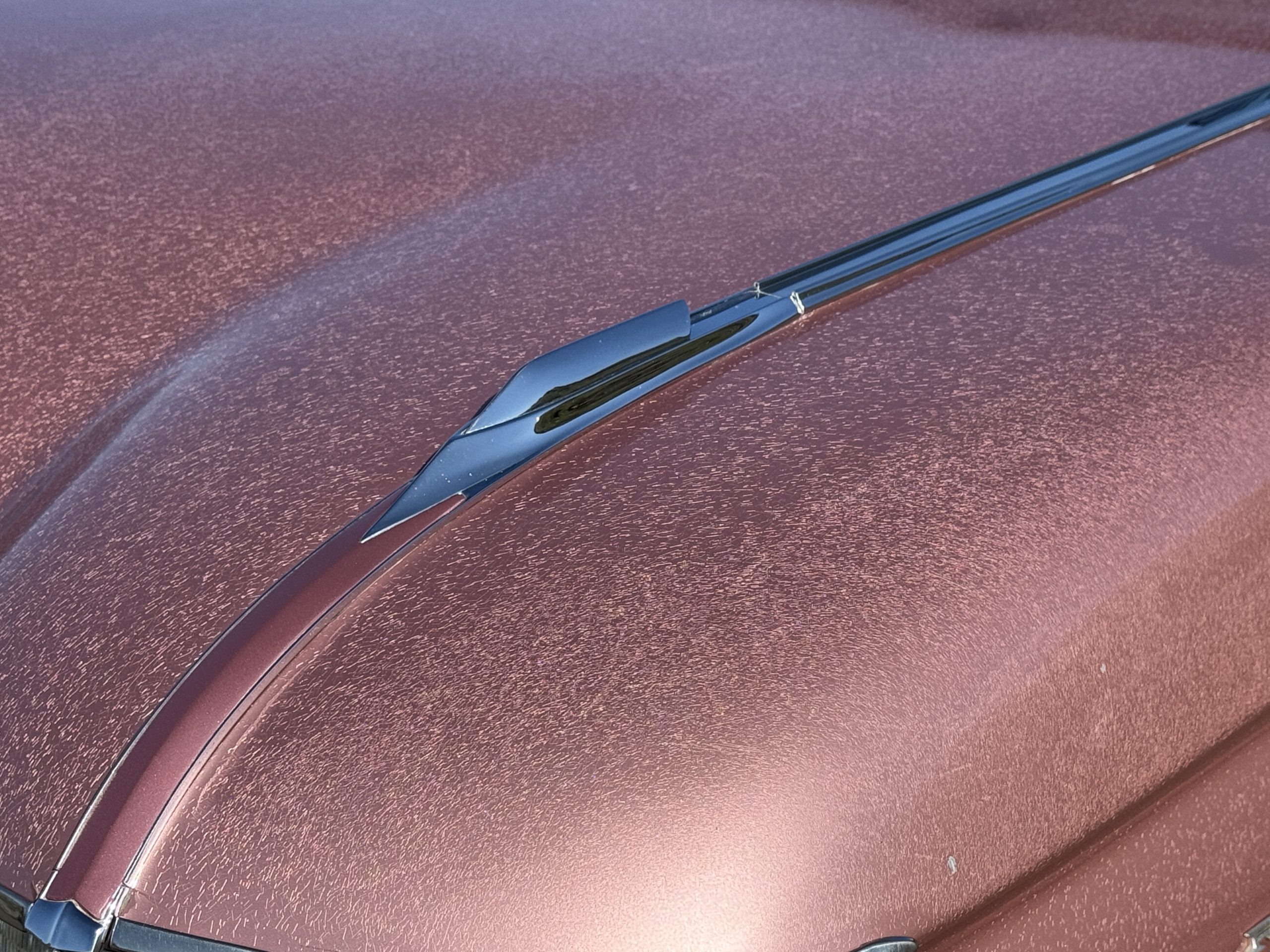 20251125 172537846 iOS 20251125 172537846 iOS