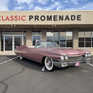 91E7AF2F 7B70 42FF A445 FABD5CAA5FD9 1 105 c