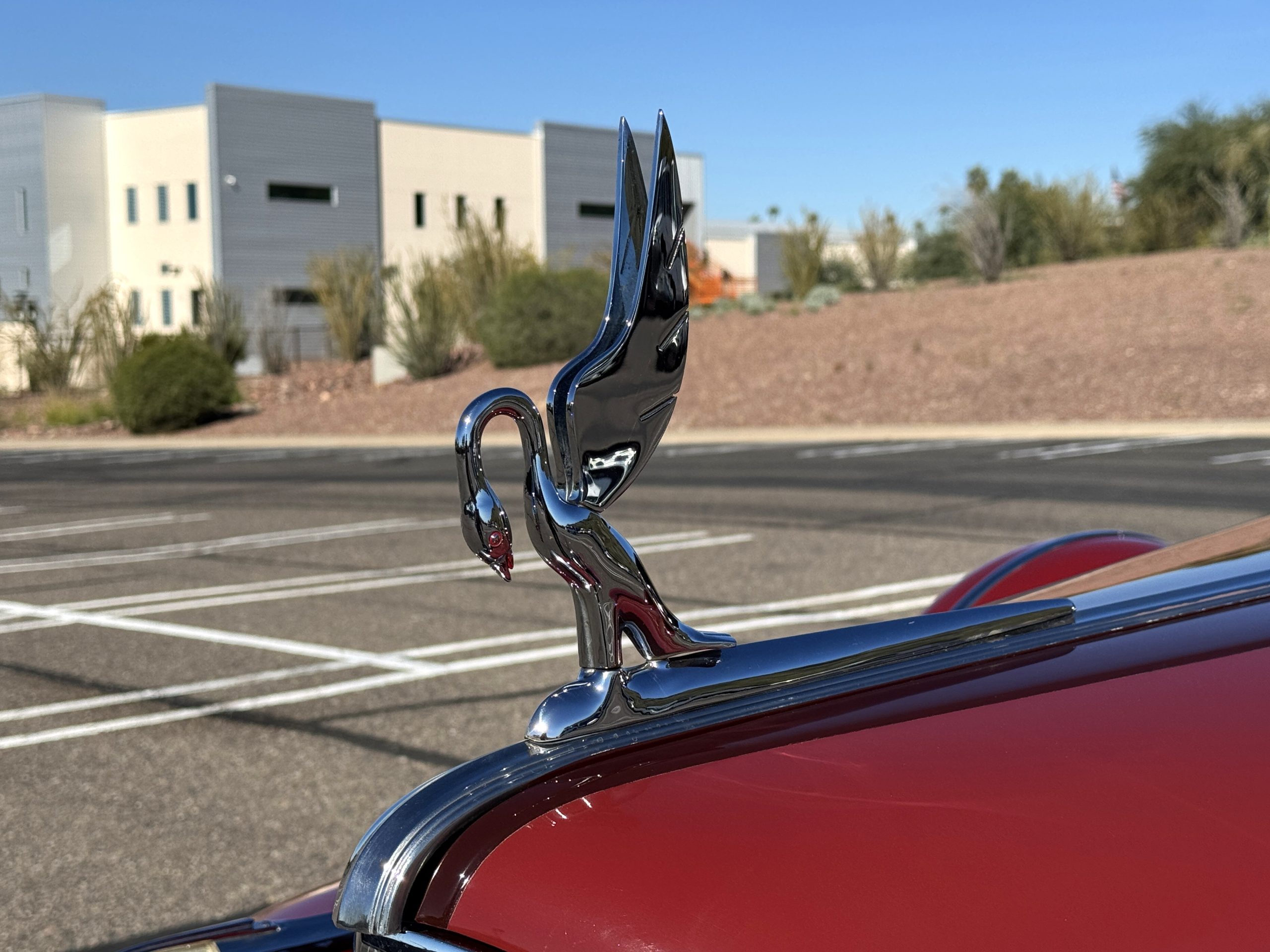 20251210 181119471 iOS 20251210 181119471 iOS