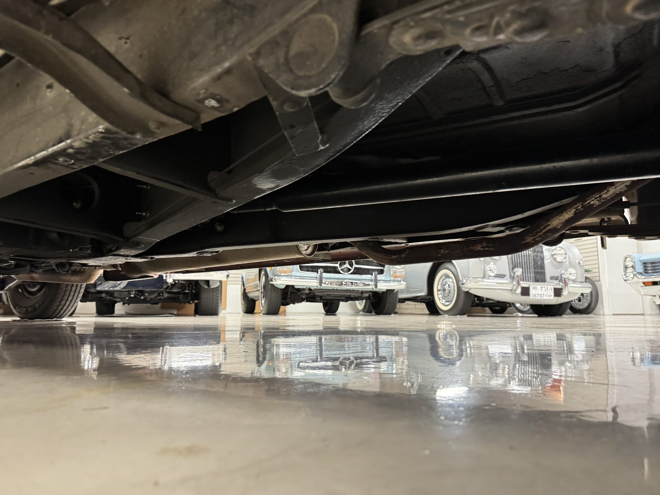 20251216 013541562 iOS 20251216 013541562 iOS