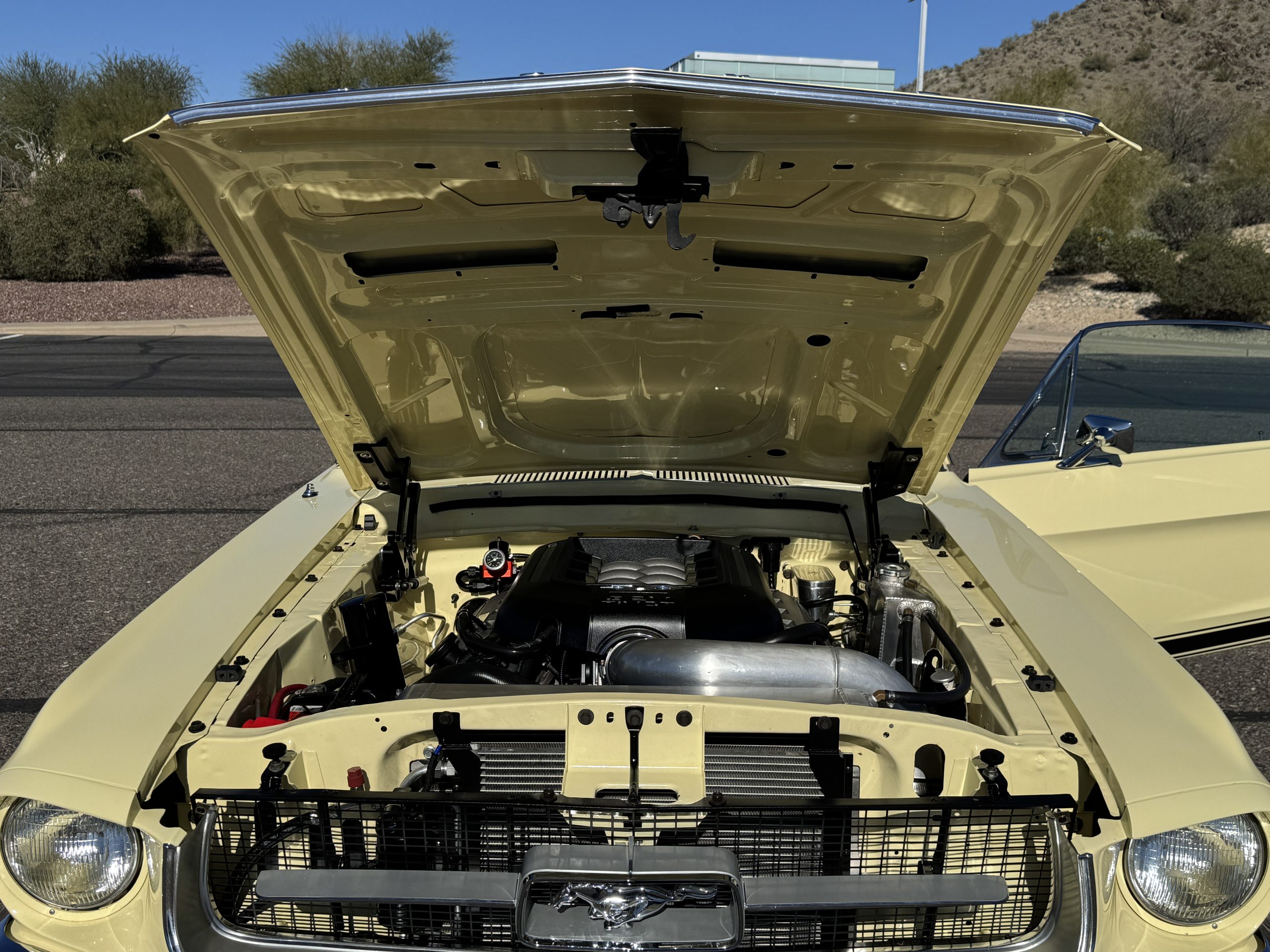 20260127 212046265 iOS 20260127 212046265 iOS