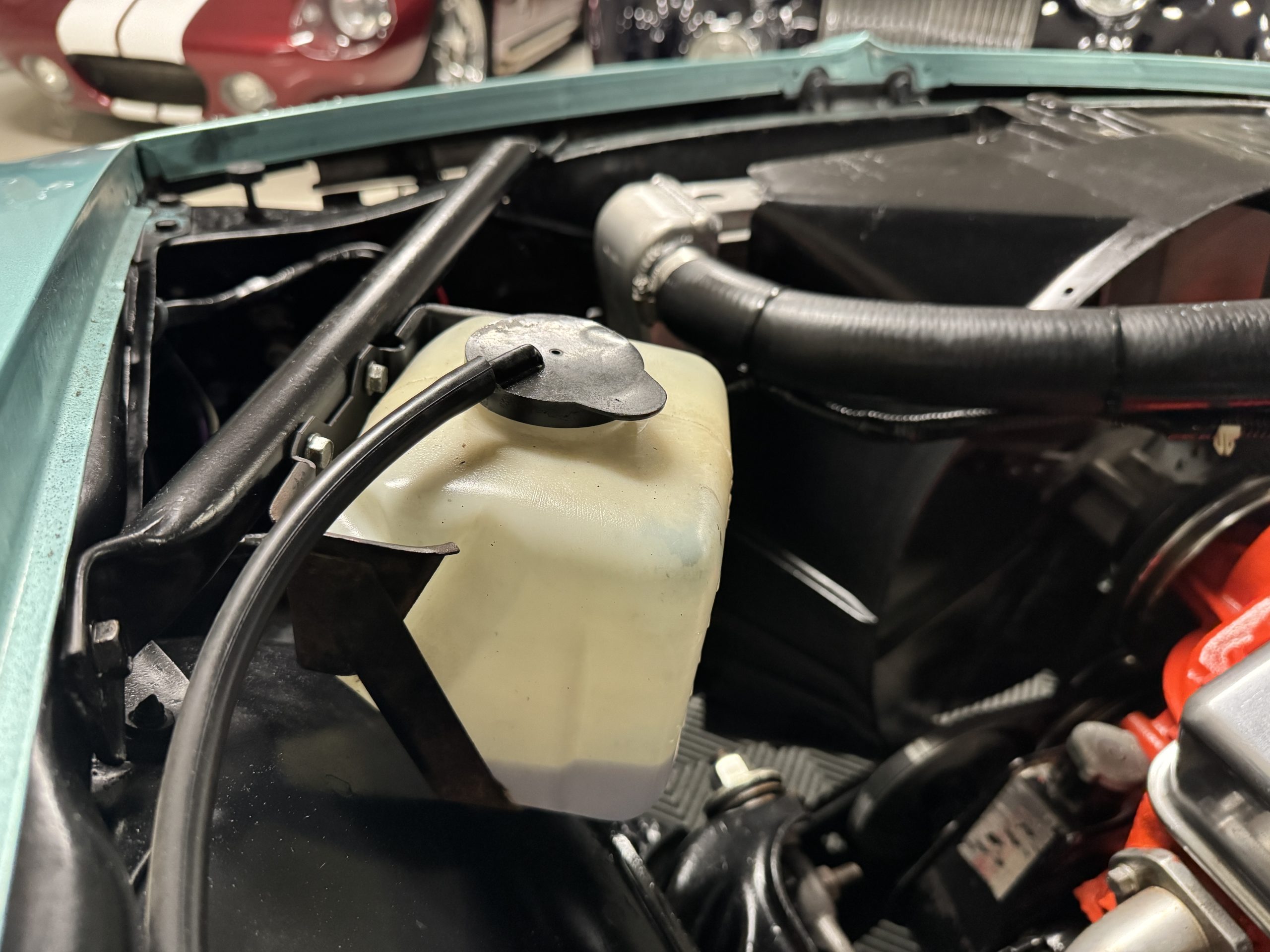 20260213 013654139 iOS 20260213 013654139 iOS