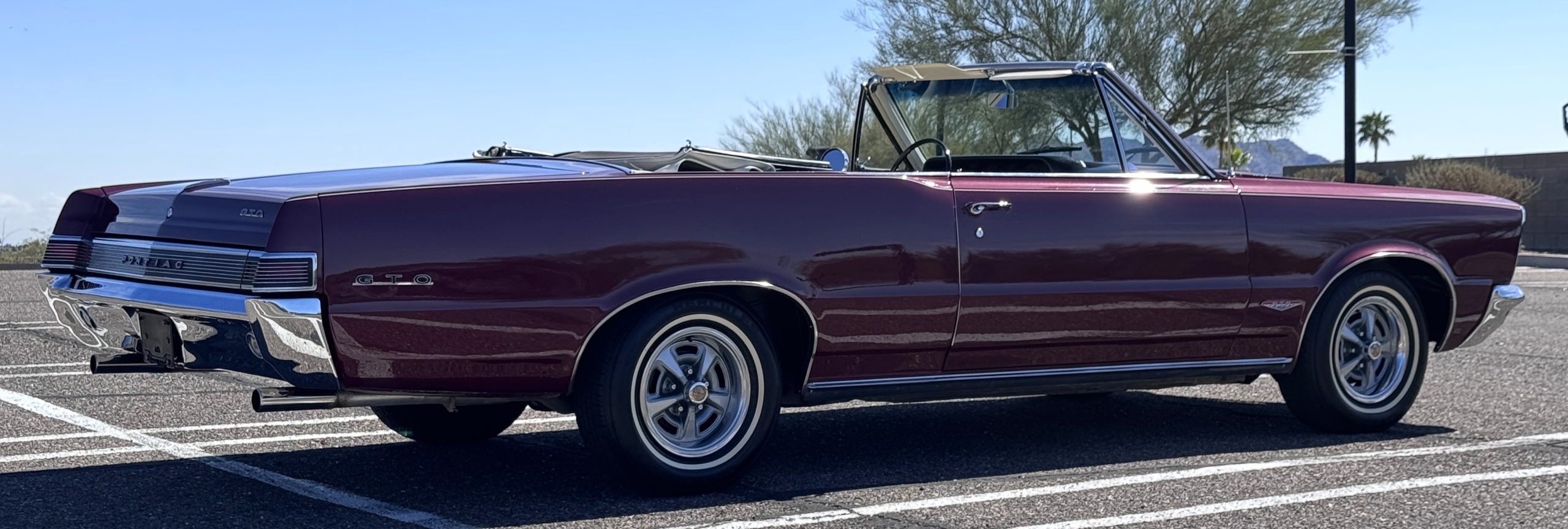 20260219 200325502 iOS 20260219 200325502 iOS