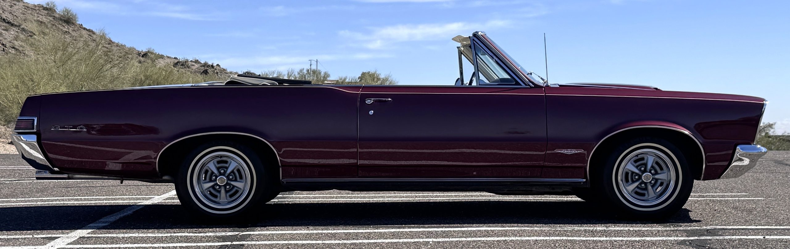 20260219 200345902 iOS 20260219 200345902 iOS