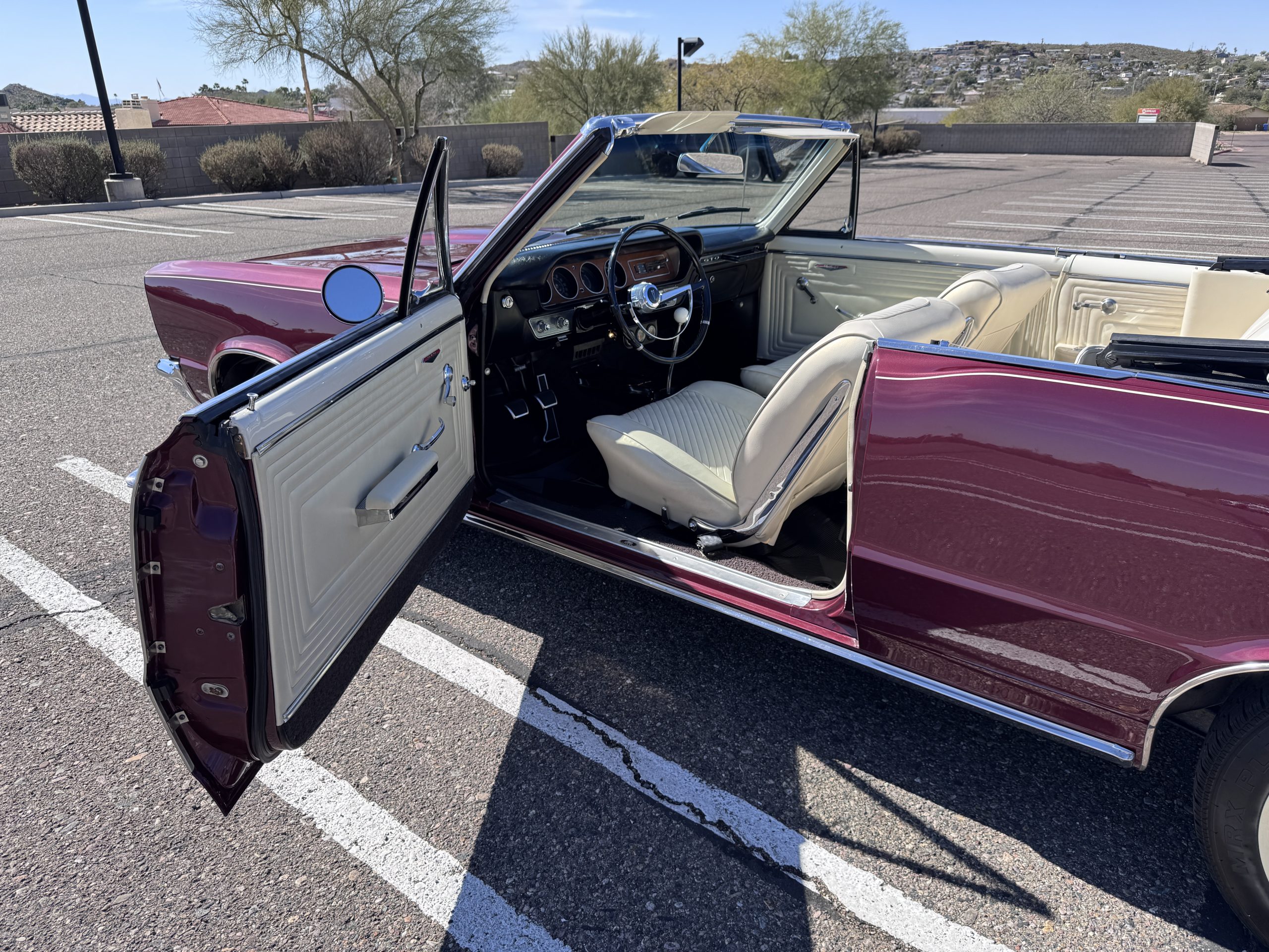 20260219 201147517 iOS 20260219 201147517 iOS