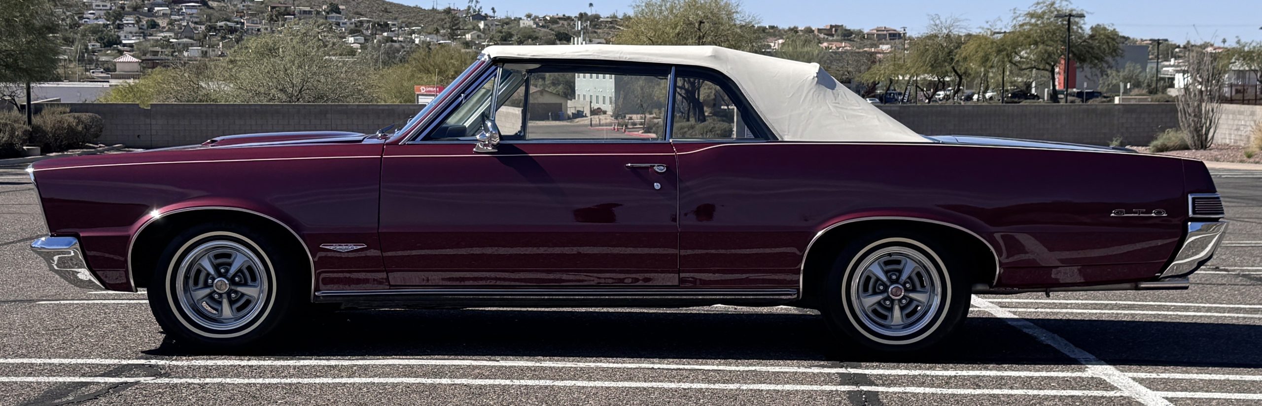 20260219 201930124 iOS 20260219 201930124 iOS