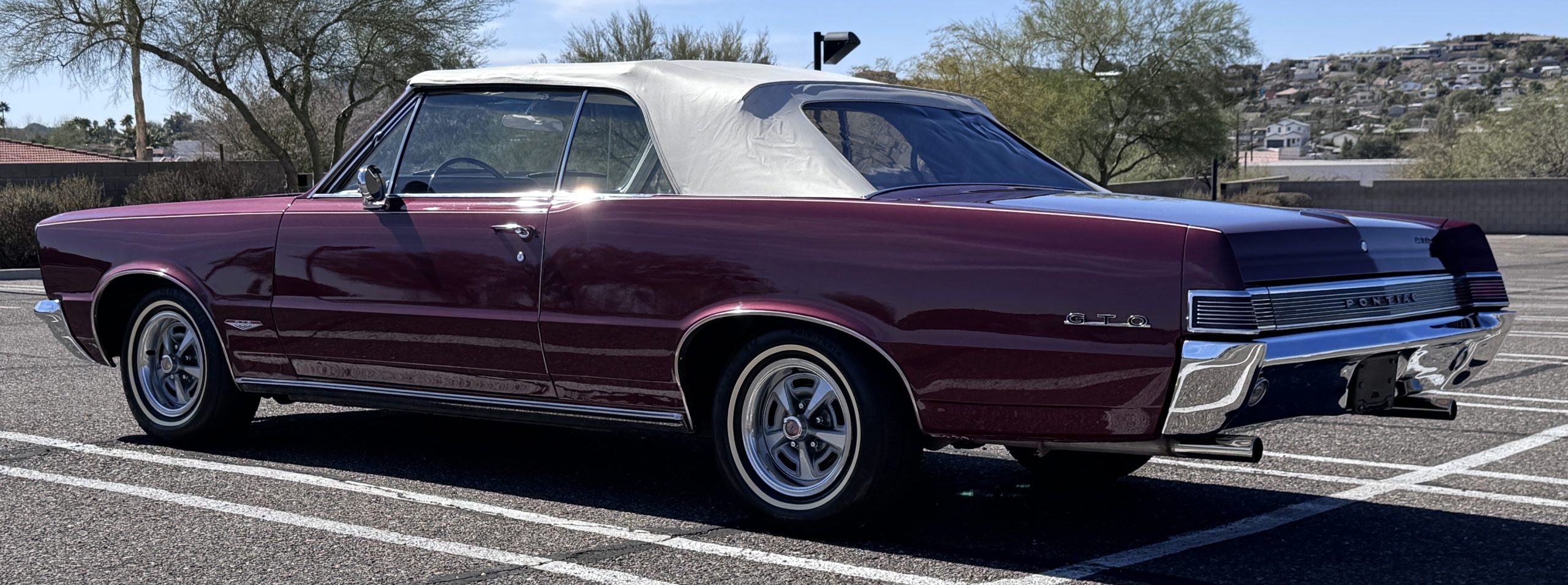 20260219 201940698 iOS 20260219 201940698 iOS