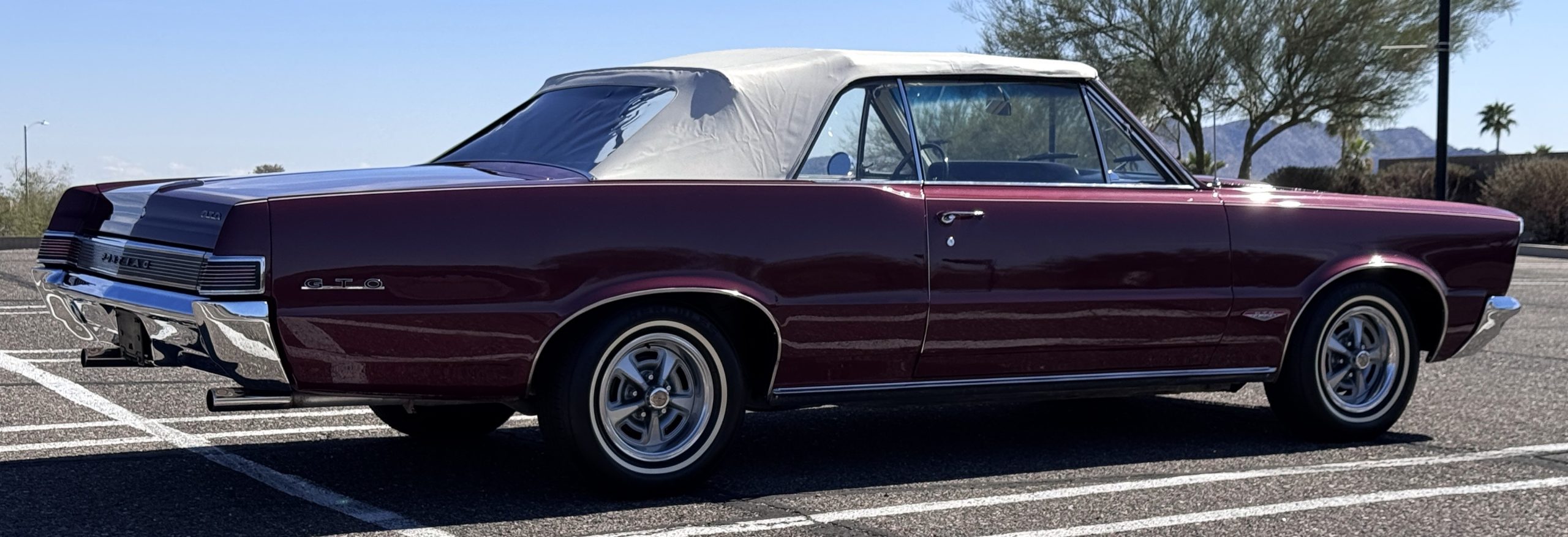 20260219 202014276 iOS 20260219 202014276 iOS