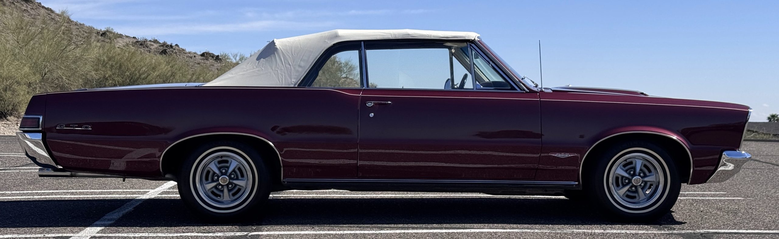 20260219 202023621 iOS 20260219 202023621 iOS