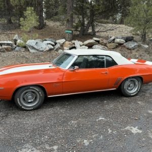 B82A84FB 73B2 4447 A805 1B20A655D3CB 4 5005 c