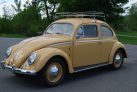 1954 VW Beetle, Calif Car, Two Owner, Restored!